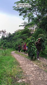 1.7K views · 3.8K reactions | Perjalanan petani gunungkidul, Mangkat jam 7 esuk tekan ngalas jam 8, gawe wedang leren sedelo terus nyekel gawean, bali setengah 5,mulih iseh mikul kayu mikul pakan, tekan ngomah jam setengah 6, wes ngunu terus perjalanane seng kudu di adepi sabendinone,gaya urip rekoso ning umure malah dowo. ngerti bayangan ngunu kui opo saguh nek kon nglakoni bolo...??? #inspirasigunungkidul #petani #mikul #gunungkidul #gayahidup | Wahyu Nine-Ten | Facebook