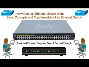 Basic Concepts and Fundamentals of an Ethernet Switch | How Does an Ethernet Switch Work