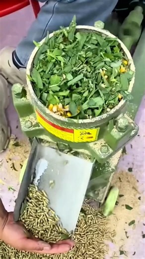 Process of Making Pellet Animal Feed from Forage Using a Molding Machine #shorts