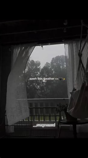 unsoul 🥀 on Instagram: "Dark weather 🖤⛈️😭.. . . . . . . . . . . . . . . . . . . . . . . . . .#nature#naturephotography#lovemusic#broken#love#raindrops#lovestatus#instagood #instalike#instadaily#naturelove#naturegram#naturelovers #rain#rainyday#relax #hill #hillstation#trending#trendingaudio#trendingsongs#music#mansoon#naturelov#naturegram#naturelovers#repost#foryou#naturelovers#rainyday#trendingsongs . ."