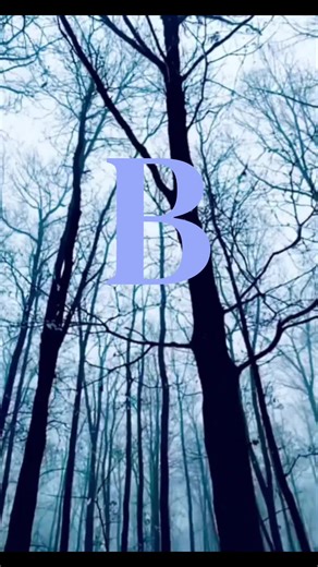 B is for Borderline Blues. track 2 off the #lowceilings ep. Don't wanna feel... but I feel too much. #indie #newmusic #bluesy #noisesfromthecellar