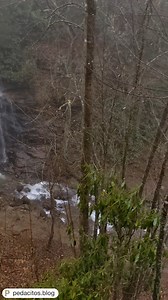 5.2K views · 479 reactions | Ready to explore nature at its finest – with a metaphorical bathe in the serene forests of Cherokee? Then it’s time to plan your next trip to Cherokee, North Carolina where you can rest, relax, and enjoy the scenery of our ancient forests. | Visit Cherokee | Facebook