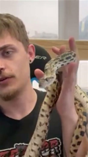 Made another video talking about frozen vs live snake food!! Go check it out for us!! #petshop