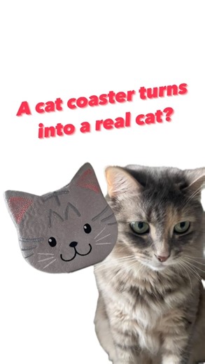 Kitty cat coasters have arrived 😻😻😻 . . . . . . . . . . . . . . . . . . . . #catcoaster#ith#coaste#machineembroidery#sweetpeadesigns | Sweet Pea Machine Embroidery