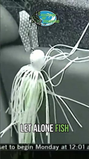 Unlock the Secrets of Chatterbait Bass Fishing!