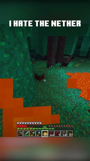 Everything GOES WRONG with the Nether dimension!