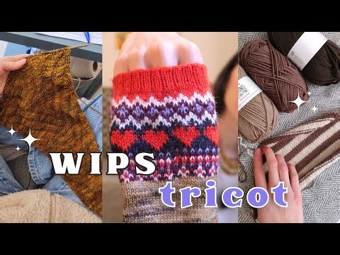 ✶ My current knitting projects for the start of the year + Yarn purchases ✶