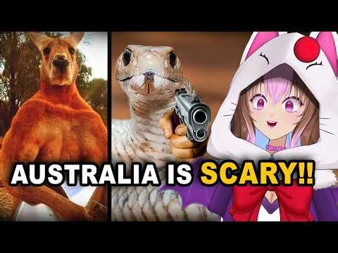 AUSTRALIA HAS TERRIFYING WILDLIFE! | DipperDog MoreParz Reaction