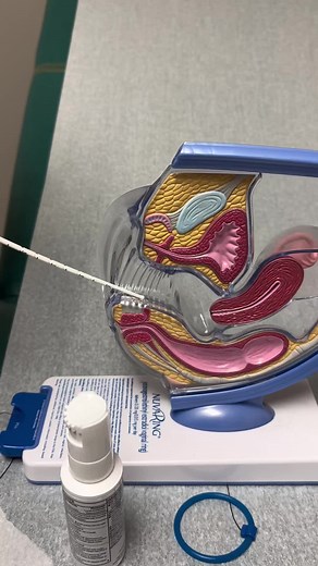 Understanding Uterine Sound Procedures for Women