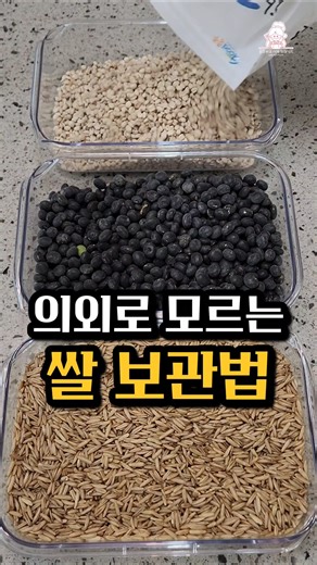 의외로 모르는 쌀 보관하는 방법❗️#쌀보관법 #쌀벌레