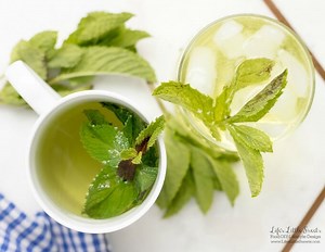Fresh Mint Tea - Life's Little Sweets