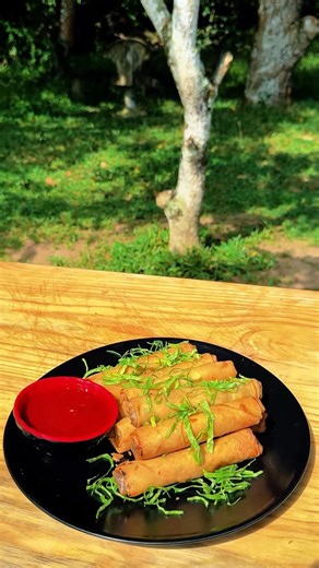 Vegetable Spring Rolls 😍
