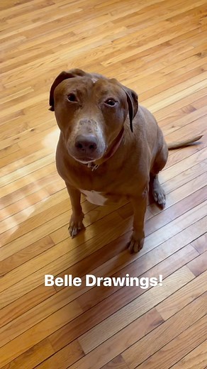 More Belle drawings! #drawbelle | Bellebows