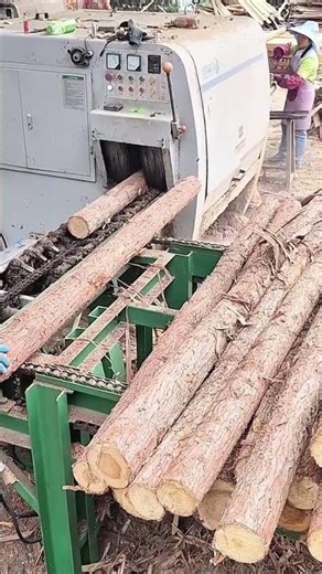 processing wood logs into lumber by using industrial sawmill machinery in an outdoor wood procesing