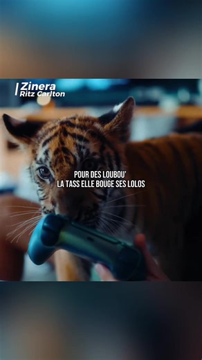Zinera - Ritz Carlton 🧨🔥 #rapfr #zinera #music #song