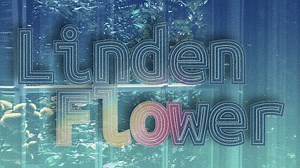 512 reactions · 15 shares | "Linden Flower" seems to be blooming on Spotify 殺 Thx y'all. I wanted to get the art vid on my FB too. Thx if you've already checked it out!! Listen on Spotify: https://open.spotify.com/album/34Js2bFwTrMunMygdnL9fn Patreon: https://www.patreon.com/Jenkees #AutumnMelodies #electronicmusic #Jenkees | Ronald Jenkees | Facebook