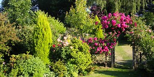 10 of our favourite garden arches for your outside space