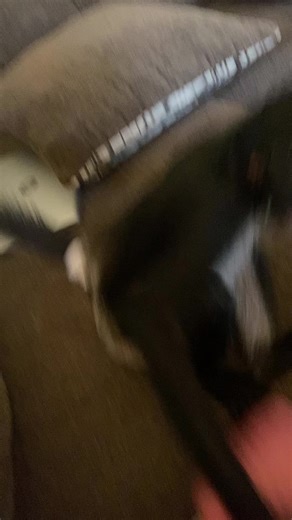 melissayoder50 (@melissayoder50)’s videos with Sneaky Shenanigans - Solis