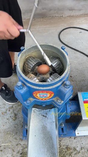 Pellet machine test. #pelletmaker #pelletmachine #pelletmachinefactory #feedpellet #fuelpellets #feedgranulator #grasscutter #grassmill #cowfeeding #sheepfeed #pellet #pelletmill