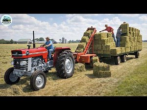 10 Best Massey Ferguson Tractors in History