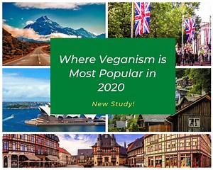 Top Most Popular Countries and Cities for Vegans in 2020 - Chef's Pencil