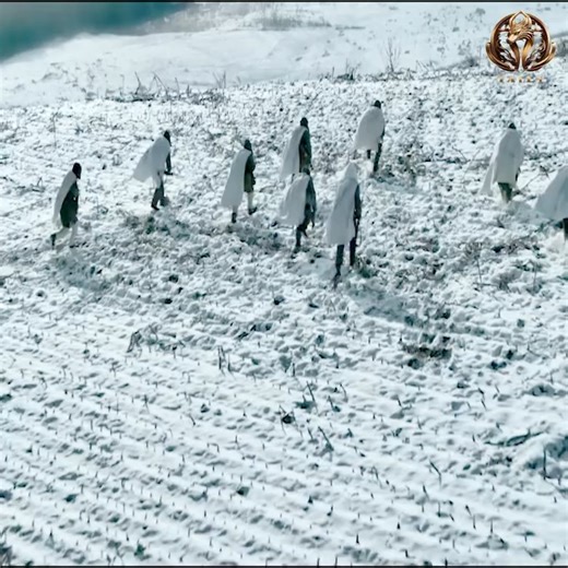 23K views · 438 reactions | best action series on netflix 2024 | د.أمين حسن عمر - الصفحة الرسمية | Facebook