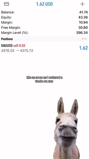 #Meme #MemeCut #trader #forex #vip