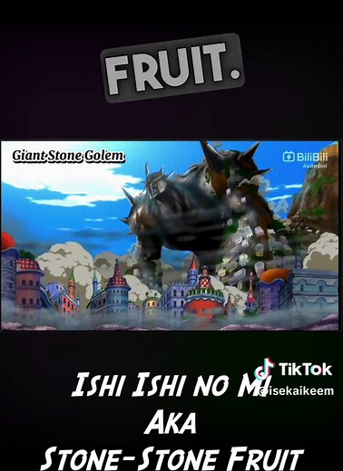 Unveiling the Mysterious Stone Stone Fruit from One Piece