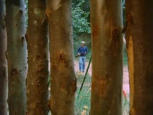 Тюрьма в Амазонии / Amazon Jail (1982)