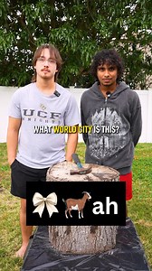 Follow to get smarter 🧠 | Brady Your Tutor