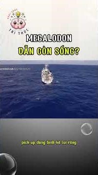 Ác Mộng Mariana: Megalodon Vẫn Còn Sống?