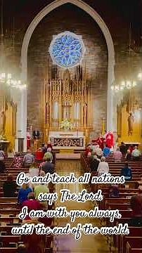 Gospel Acclamation Alleluia Chant Mode VI #catholicmass #music #organ #alleluia