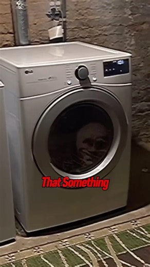 He Started The Washing Machine, Then Saw THIS