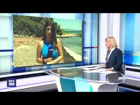 Πνιγμοί στη θάλασσα: Οι ειδικοί καλούν τους πολίτες να ακολουθούν τους κανόνες ασφαλείας|24/6/24|ΕΡΤ
