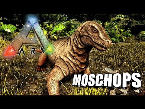 Taming A Moschops | Ark Survival Evolved | The Island