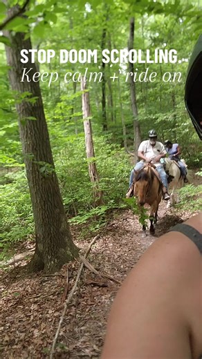 🌿 Stop doom scrolling. Start trail riding. 🐎 In a world that feels overwhelming, sometimes the best thing you can do is step away, breathe, and reconnect with nature. At Foxfire Farm, our guided trail rides offer a chance to unplug, unwind, and find peace in the rhythm of the ride. When you just need a break from the noise, horseback riding has a way of grounding us and reminding us what really matters. 📅 Book your ride today and trade anxiety for adventure. 👉 Tap the link in our bio to rese