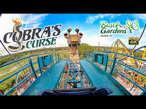 Cobra's Curse Roller Coaster On Ride Front Seat 4K POV with Queue Busch Gardens Tampa 2024 03 04
