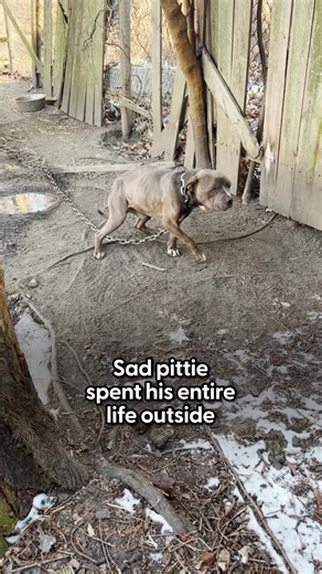 Discover the Best Sprinkled Donuts Near Hershey Stadium