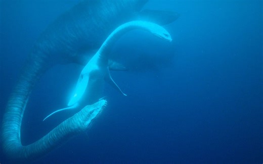 两种白垩纪时期海洋中的大型掠食性爬行动物