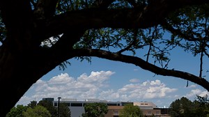 Hewlett-Packard and Fort Collins grew up together, but they've also grown apart