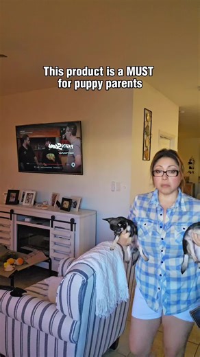 Washable and Reusable Pads for Chihuahuas