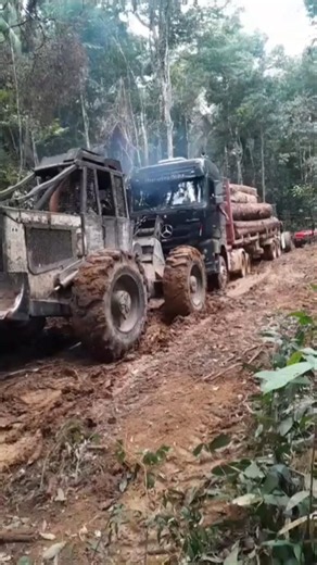 A mula precisou de ajuda, muito barro com peso ao extremo