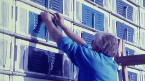 Pigeon Racing