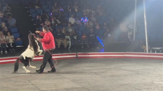 Jordan World Circus 2025-4 | Circus Fans Association of America