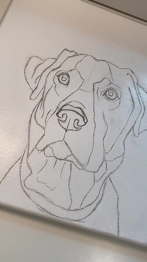 Labrador Dog Sketch on Canvas