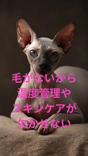 ちょっと飼うのが難しい猫5選 #飼育難易度が高い猫#ケアが大変な猫