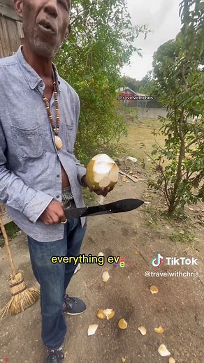 Exploring the Delicious Coconuts of Jamaica 🥥