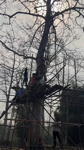 CRRRC 3rd Grand Camp 2082 #fyp #camp #crrrc #scouting #clips @CRRRC