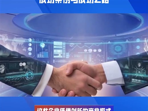 【实践案例】B2B电商实战经验揭秘：成功案例与成功之路