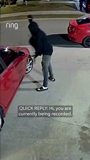 A group of people are seen checking cars, but Motion Warning sends them running! 🏃
